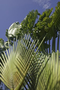 Anyar Estate