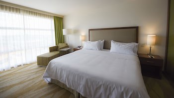 Holiday Inn Express & Suites Celaya, An Ihg Hotel