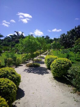 Alofa Beach Bungalows