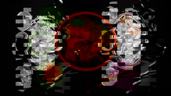 Hyatt Regency Istanbul, Atakoy