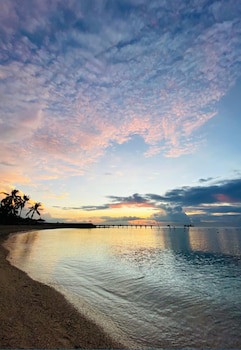 Pulchra - Philippines