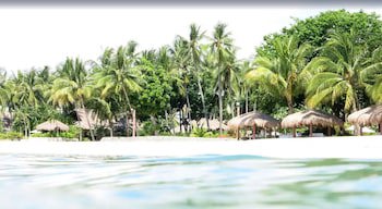 Pulchra - Philippines