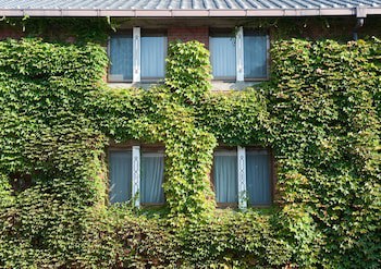Kurashiki Ivy Square