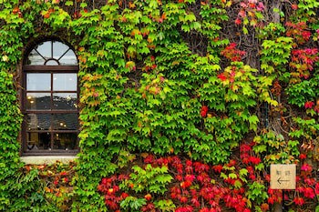 Kurashiki Ivy Square