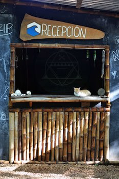 Dreamsea Surf Camp