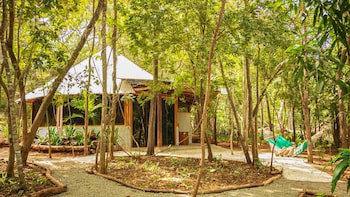 Dreamsea Surf Camp