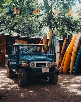 Dreamsea Surf Camp