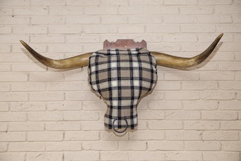 Bulls Head