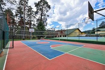 Basketball court