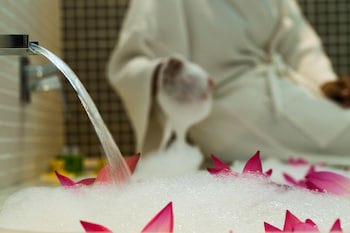 Hotel Somadevi Angkor Boutique And Resort