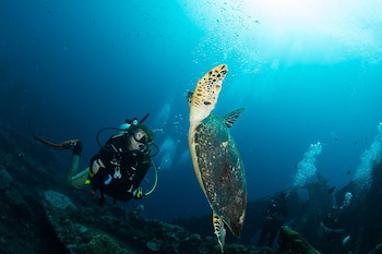 Bali Dive Resort And Spa