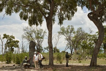 Belmond Safaris