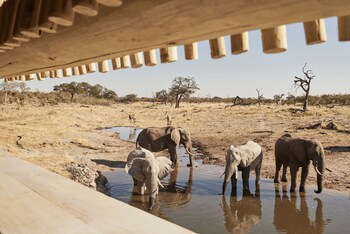 Belmond Safaris