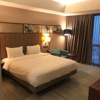 Hilton Garden Inn Istanbul Airport