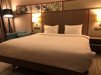 Hilton Garden Inn Istanbul Airport