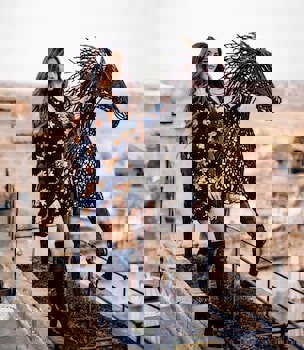 Phocas Cave Suites - Special Class