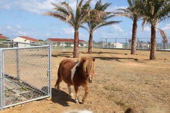 Aj Resort Island Ikeijima