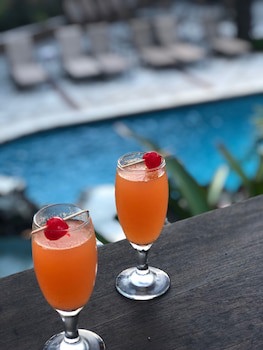 Hotel Villa Therese