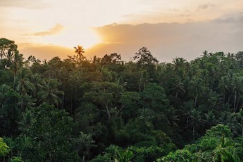 Bisma Eight Ubud