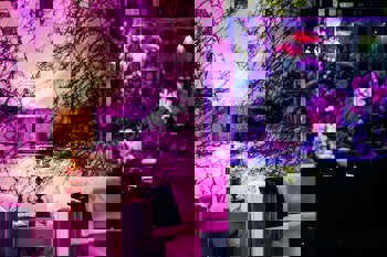 The Ciao Stelio Deluxe Hotel - Adults Only