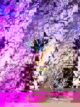 The Ciao Stelio Deluxe Hotel - Adults Only