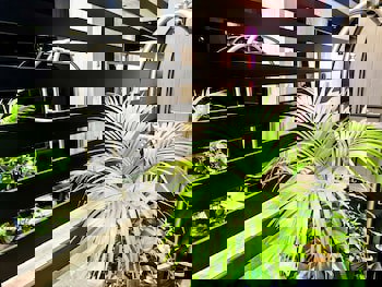 The Ciao Stelio Deluxe Hotel - Adults Only