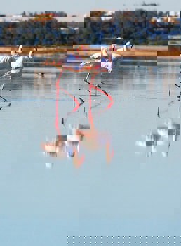 The Ciao Stelio Deluxe Hotel - Adults Only