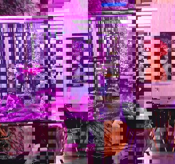 The Ciao Stelio Deluxe Hotel - Adults Only