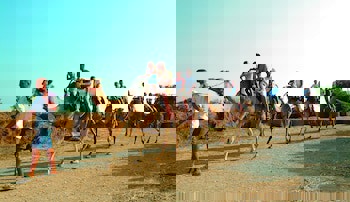 The Ciao Stelio Deluxe Hotel - Adults Only