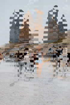 Gamirasu Cave Hotel - Special Class