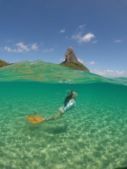 Dolphin Hotel