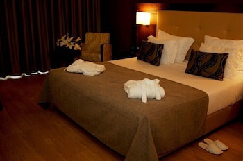 Palace Hotel & Spa Termas De S. Tiago