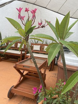 Colibri Hotel B&B