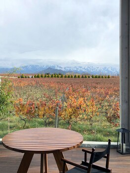 Casa De Uco Vineyards & Wine Hotel