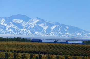 Casa De Uco Vineyards & Wine Hotel