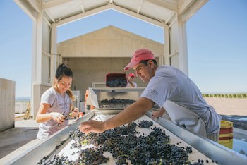Casa De Uco Vineyards & Wine Hotel