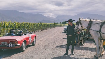 Casa De Uco Vineyards & Wine Hotel