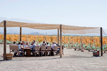 Casa De Uco Vineyards & Wine Hotel