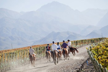 Casa De Uco Vineyards & Wine Hotel