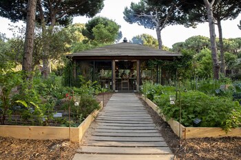 Sublime Comporta Country Retreat & Spa