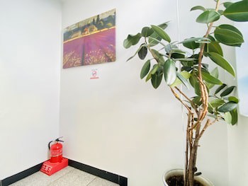 Aroha Guest House