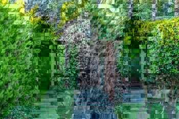 Sentido Kamelya Selin Hotel