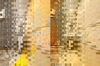 Sentido Kamelya Selin Hotel