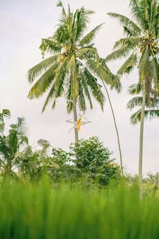 Beingsattvaa Luxury Ubud