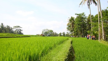 Beingsattvaa Luxury Ubud