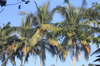 Beingsattvaa Luxury Ubud