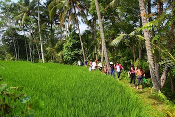 Beingsattvaa Luxury Ubud