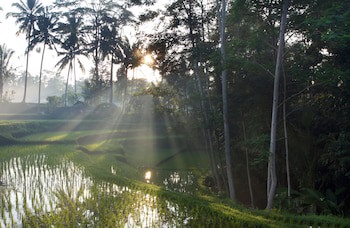 Beingsattvaa Luxury Ubud