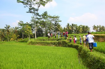 Beingsattvaa Luxury Ubud