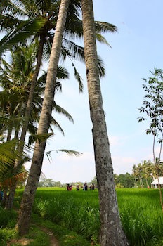 Beingsattvaa Luxury Ubud